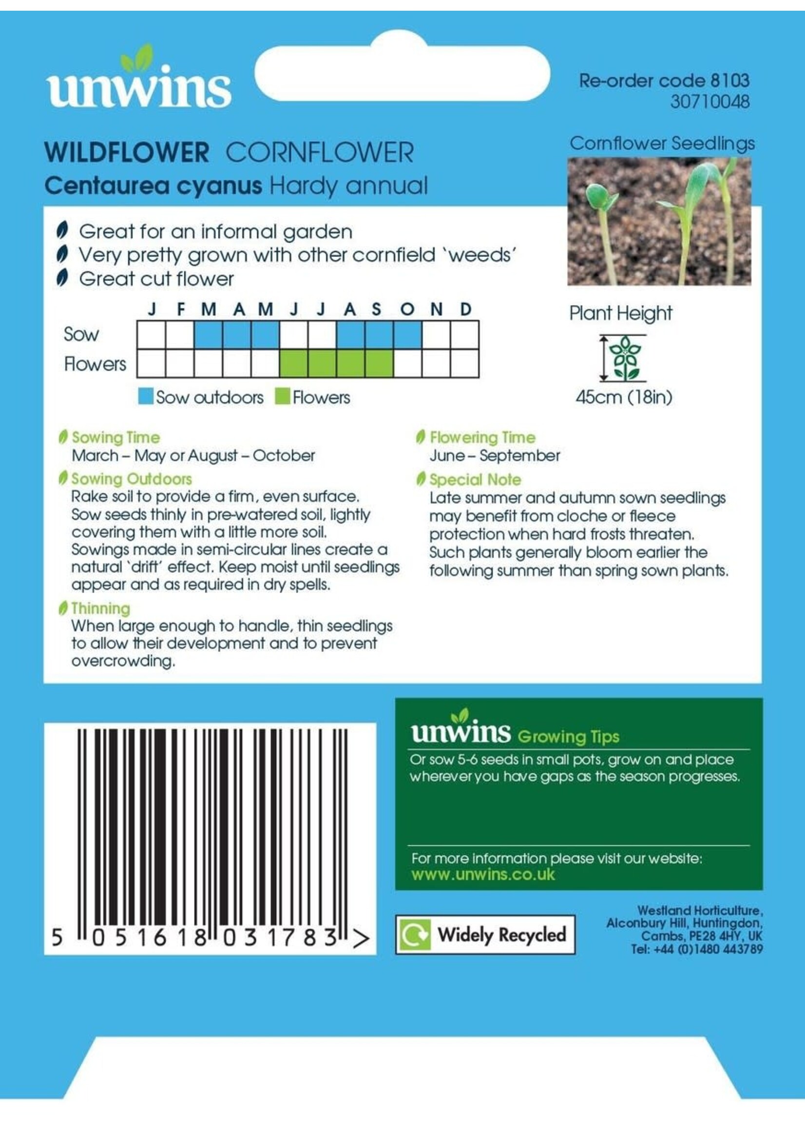 Unwins Wildflower - Cornflower