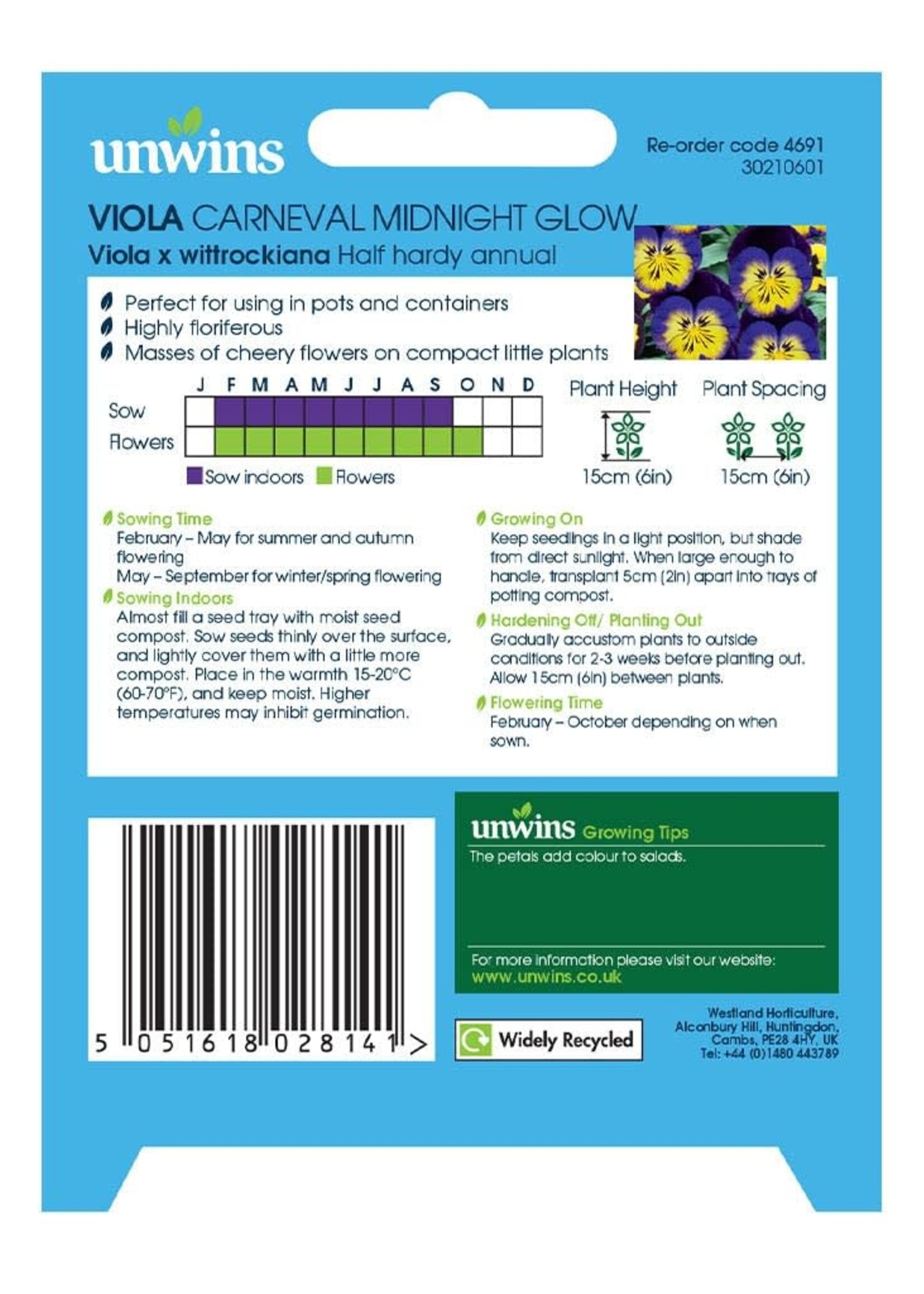 Unwins Viola - Carneval Midnight Glow F1