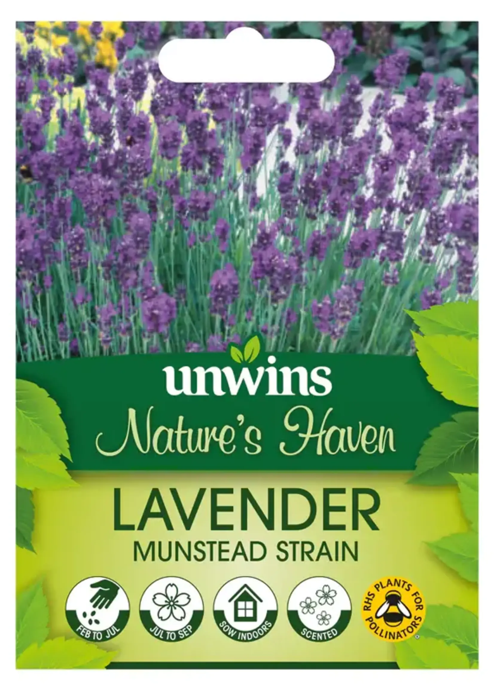 Unwins Nature's Haven Lavender - Munstead Strain