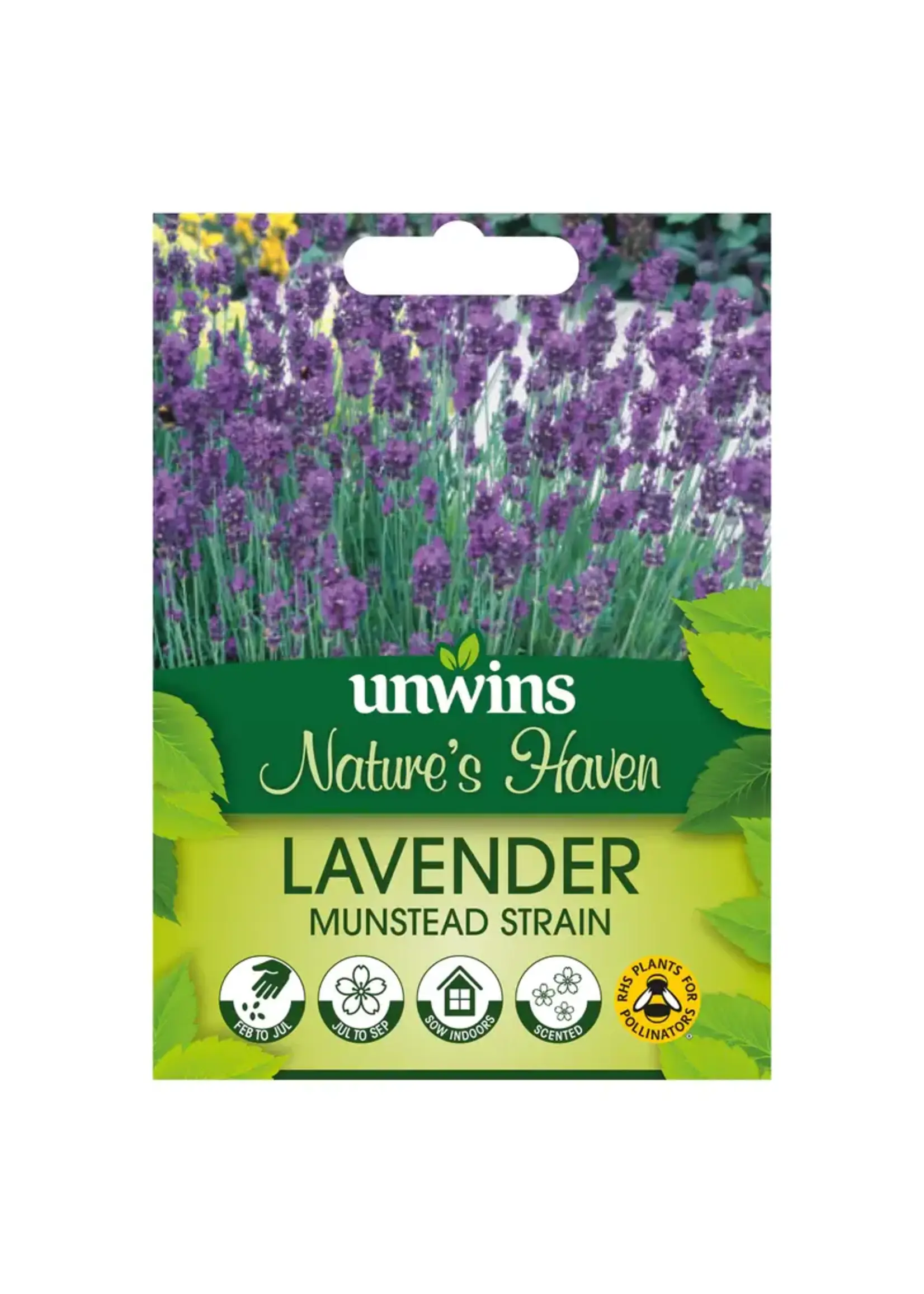 Unwins Nature's Haven Lavender - Munstead Strain