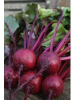 Unwins Beetroot - Boston
