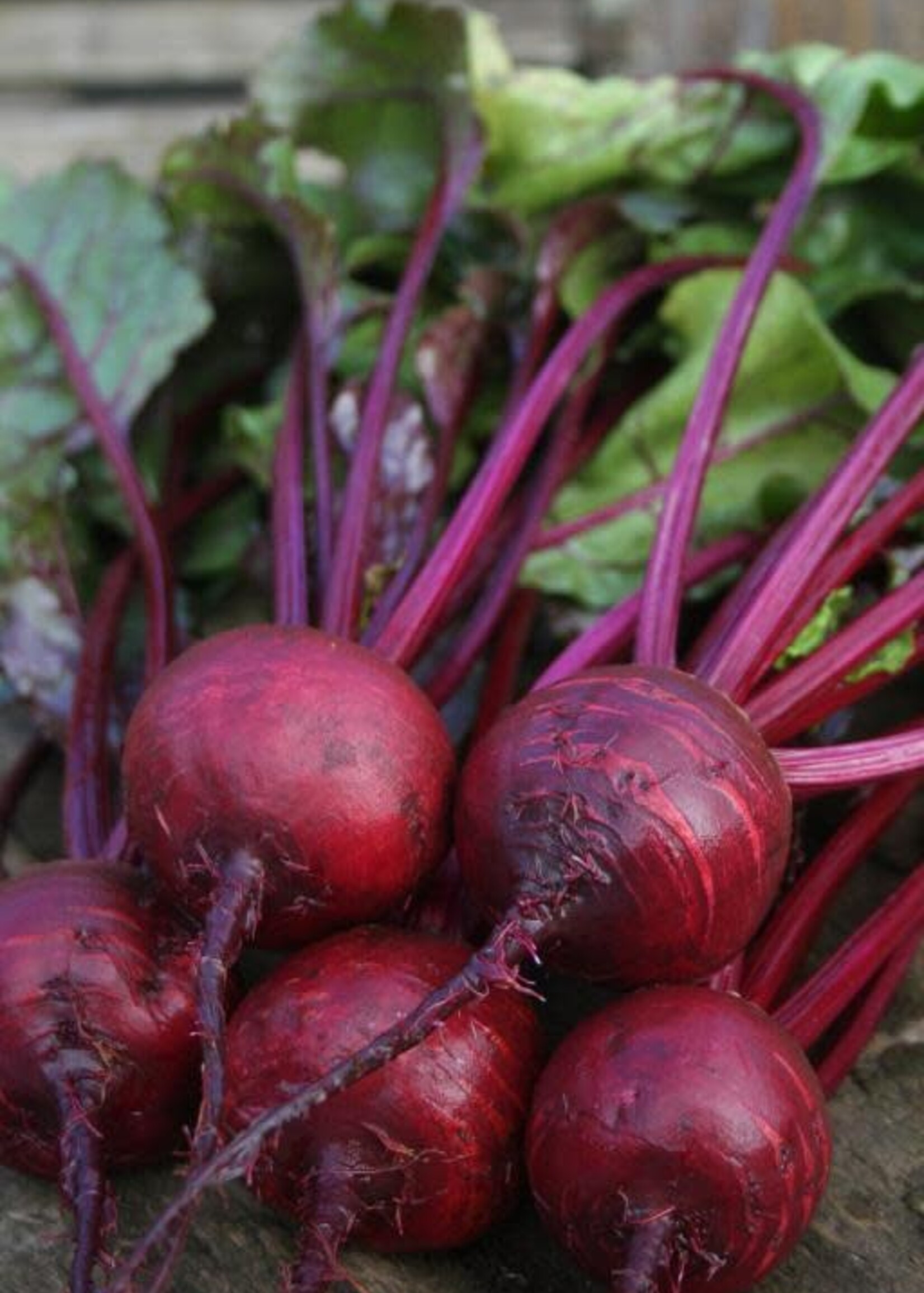 Unwins Beetroot - Boston