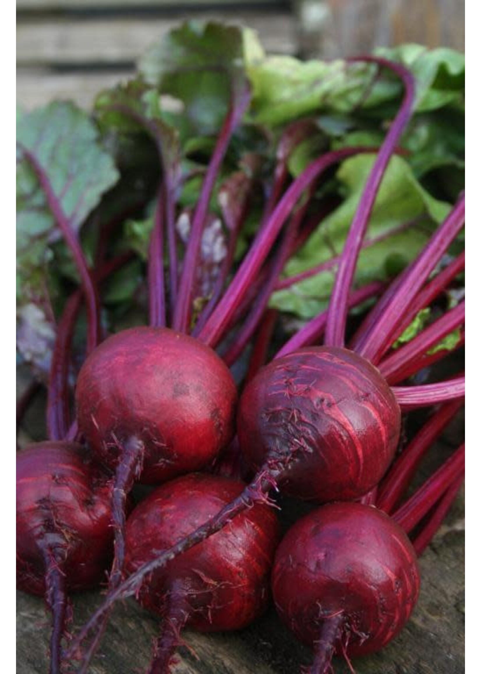 Unwins Beetroot - Boston