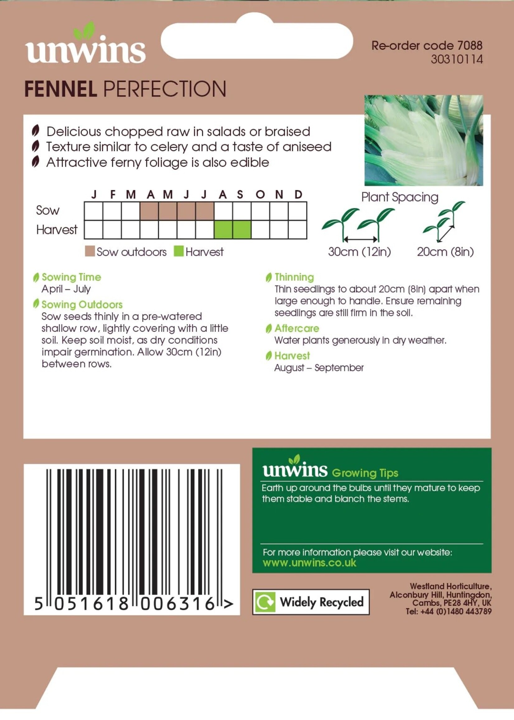 Unwins Fennel - Perfection