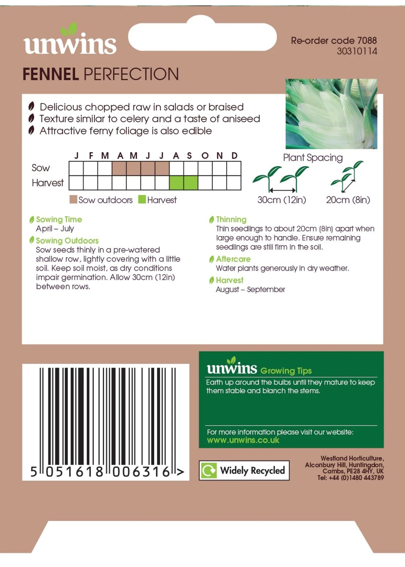 Unwins Fennel - Perfection