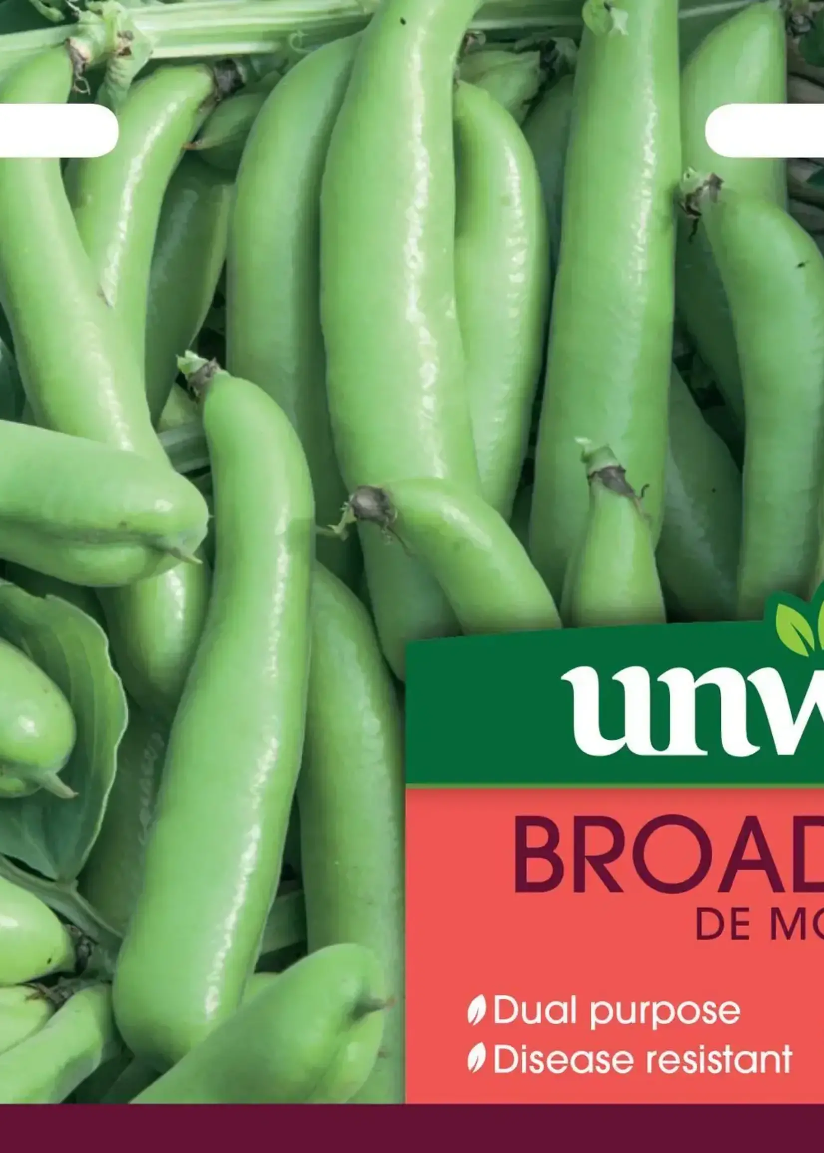 Unwins Broad Bean - De Monica
