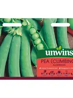 Unwins Pea (Climbing) - Alderman