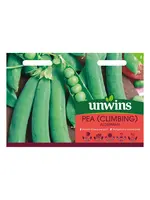 Unwins Pea (Climbing) - Alderman