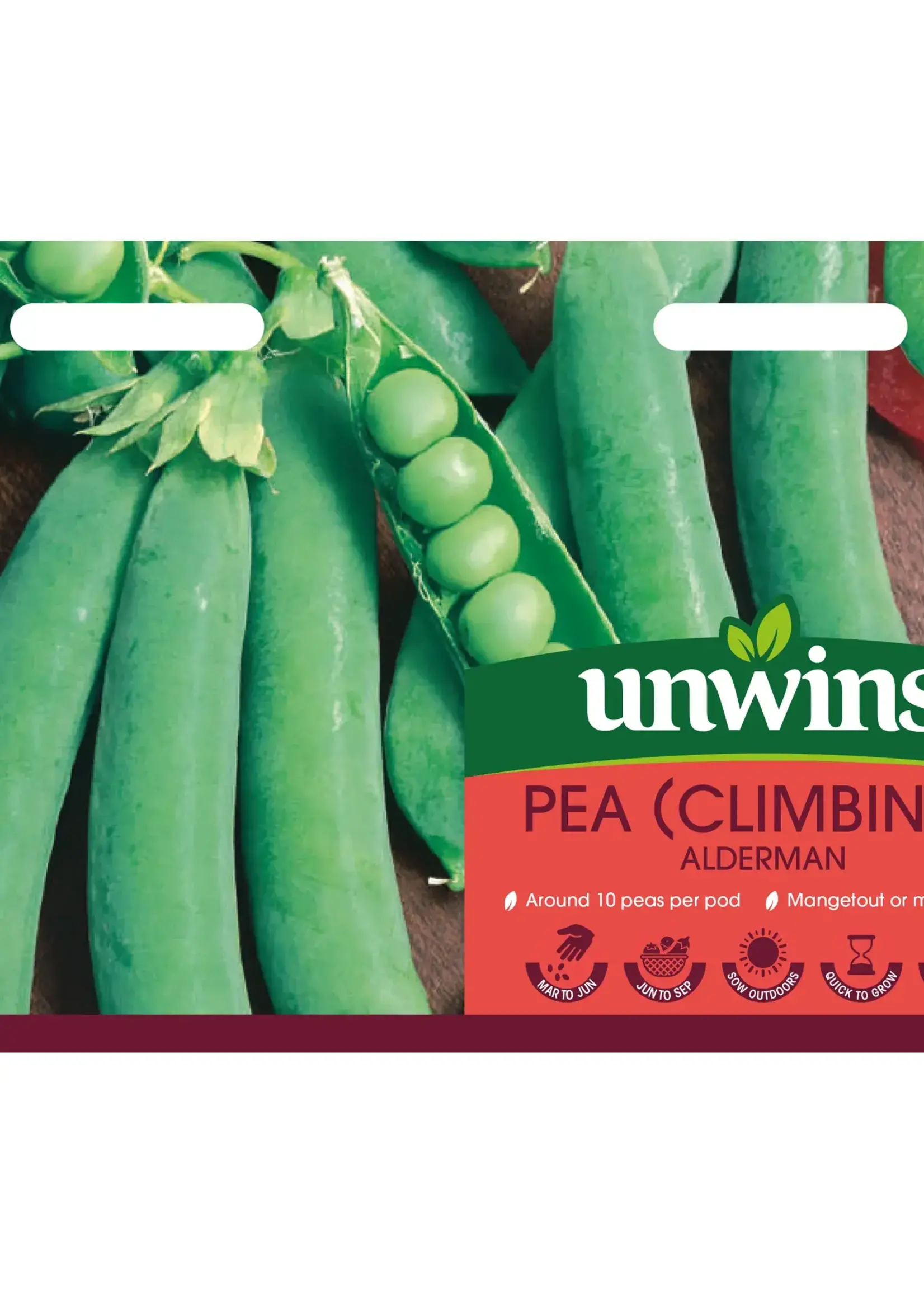 Unwins Pea (Climbing) - Alderman