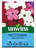 Unwins Nicotiana - Sensation Mix