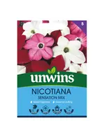 Unwins Nicotiana - Sensation Mix