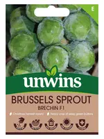 Unwins Brussels Sprout - Brechin F1