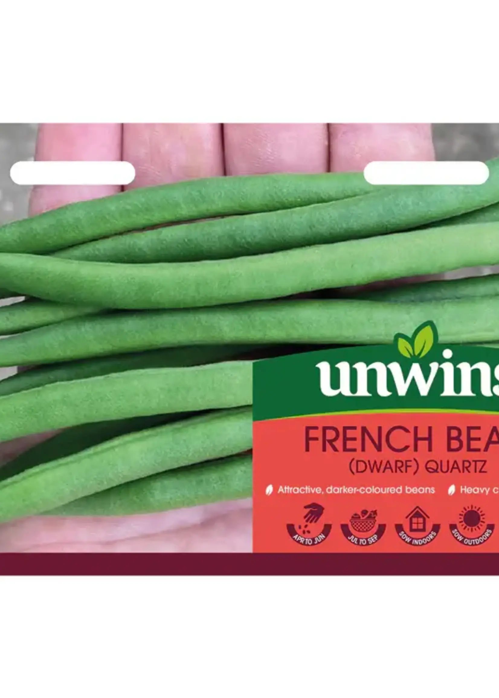 Unwins French Bean - Dwarf Quartz