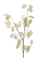 Decoris Honesty Stem Foliage Spray silver dollar