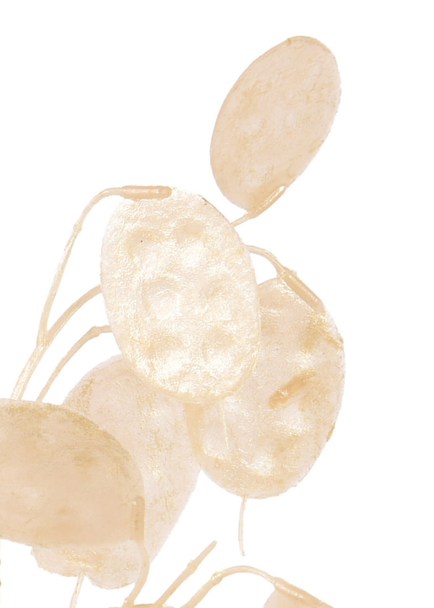 Decoris Honesty Stem Foliage Spray silver dollar