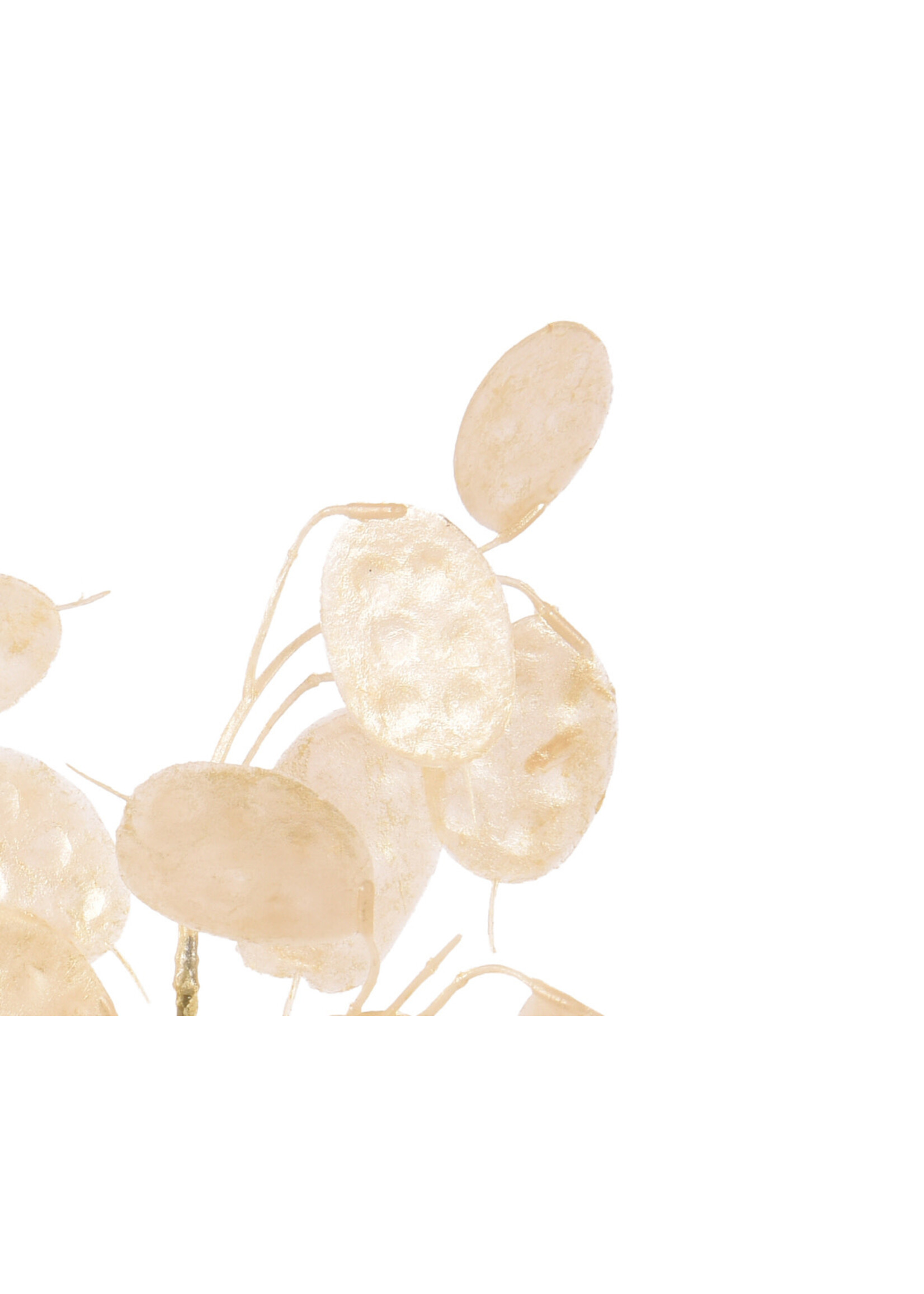 Decoris Honesty Stem Foliage Spray silver dollar