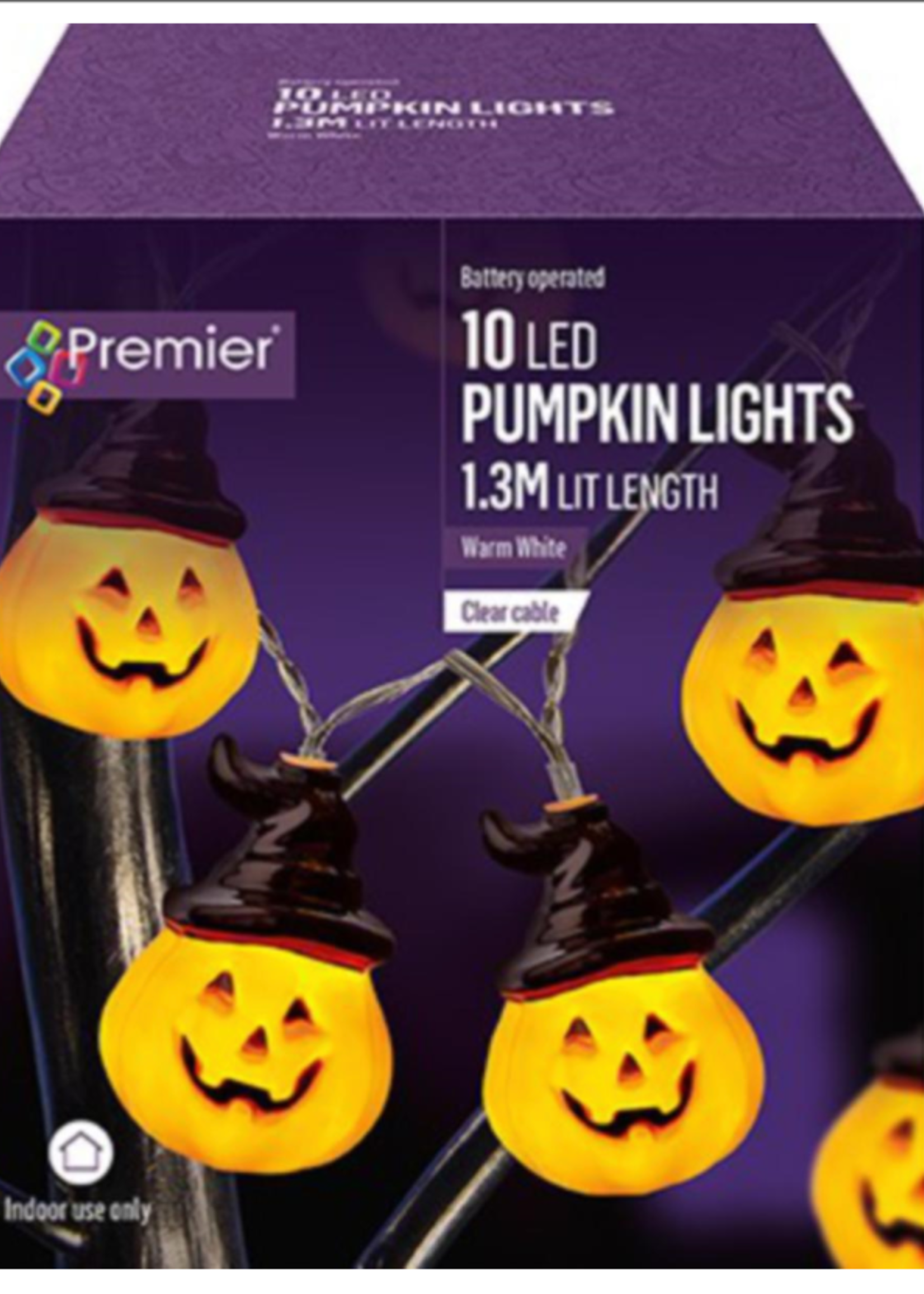 Premier Pumpkins With Witches Hat 10 LED Warm White Lights
