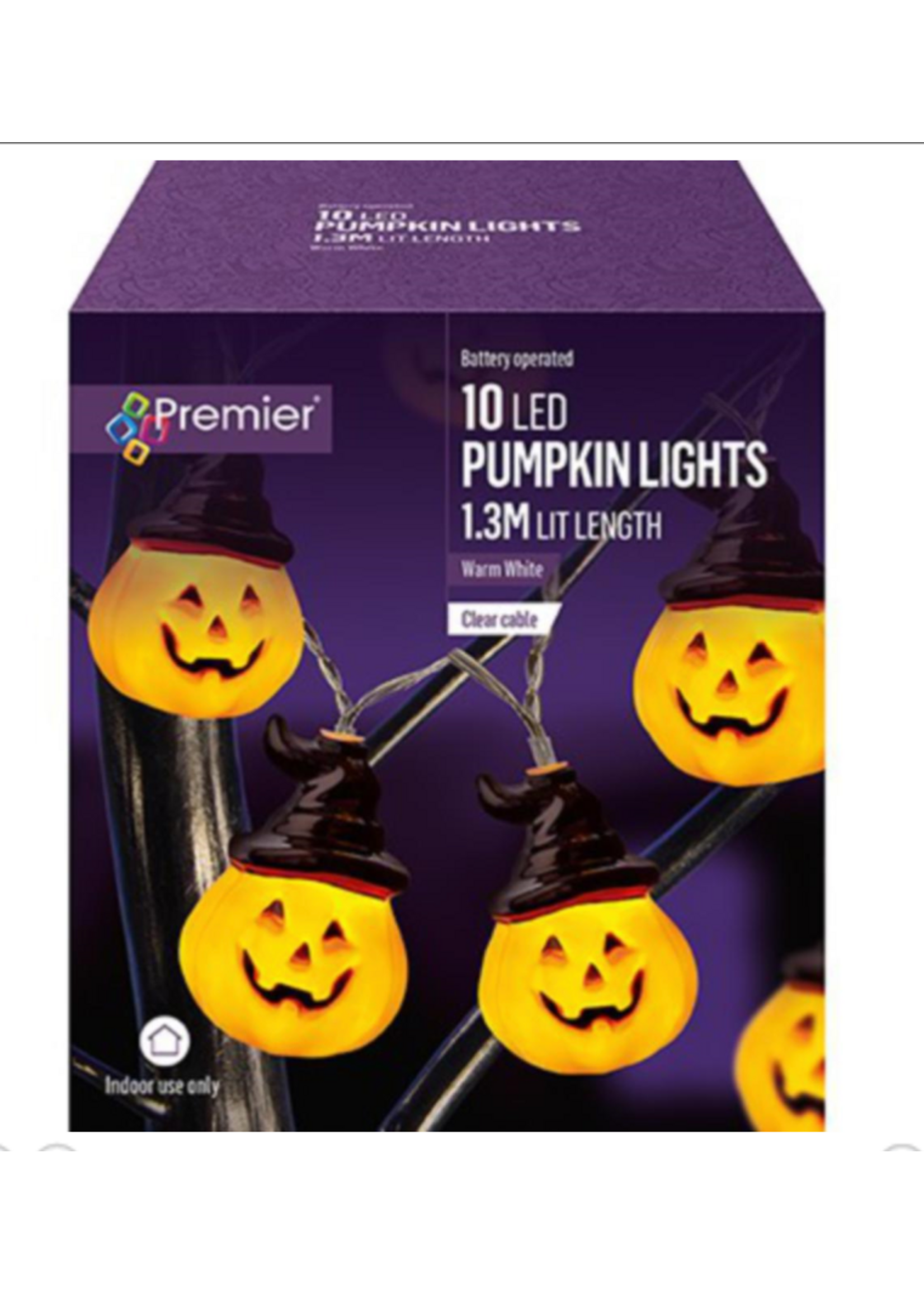 Premier Pumpkins With Witches Hat 10 LED Warm White Lights
