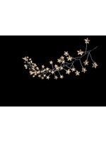 Premier Multi Action Battery Operated MICROBRIGHT Star Cluster  80 LED Warm White