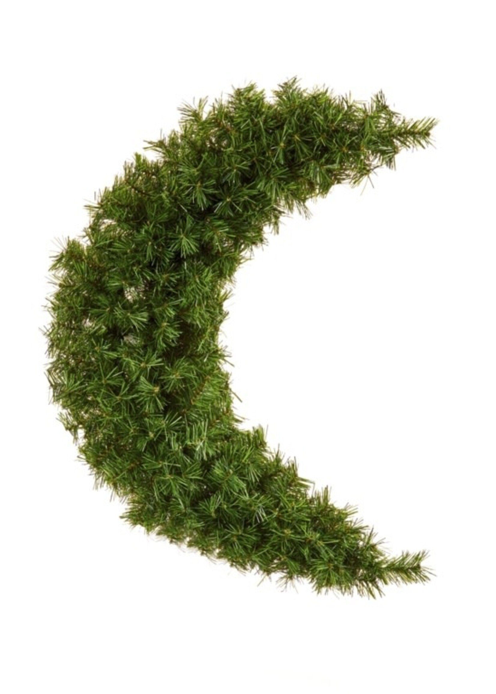 Premier Crescent Moon Tree 90cm