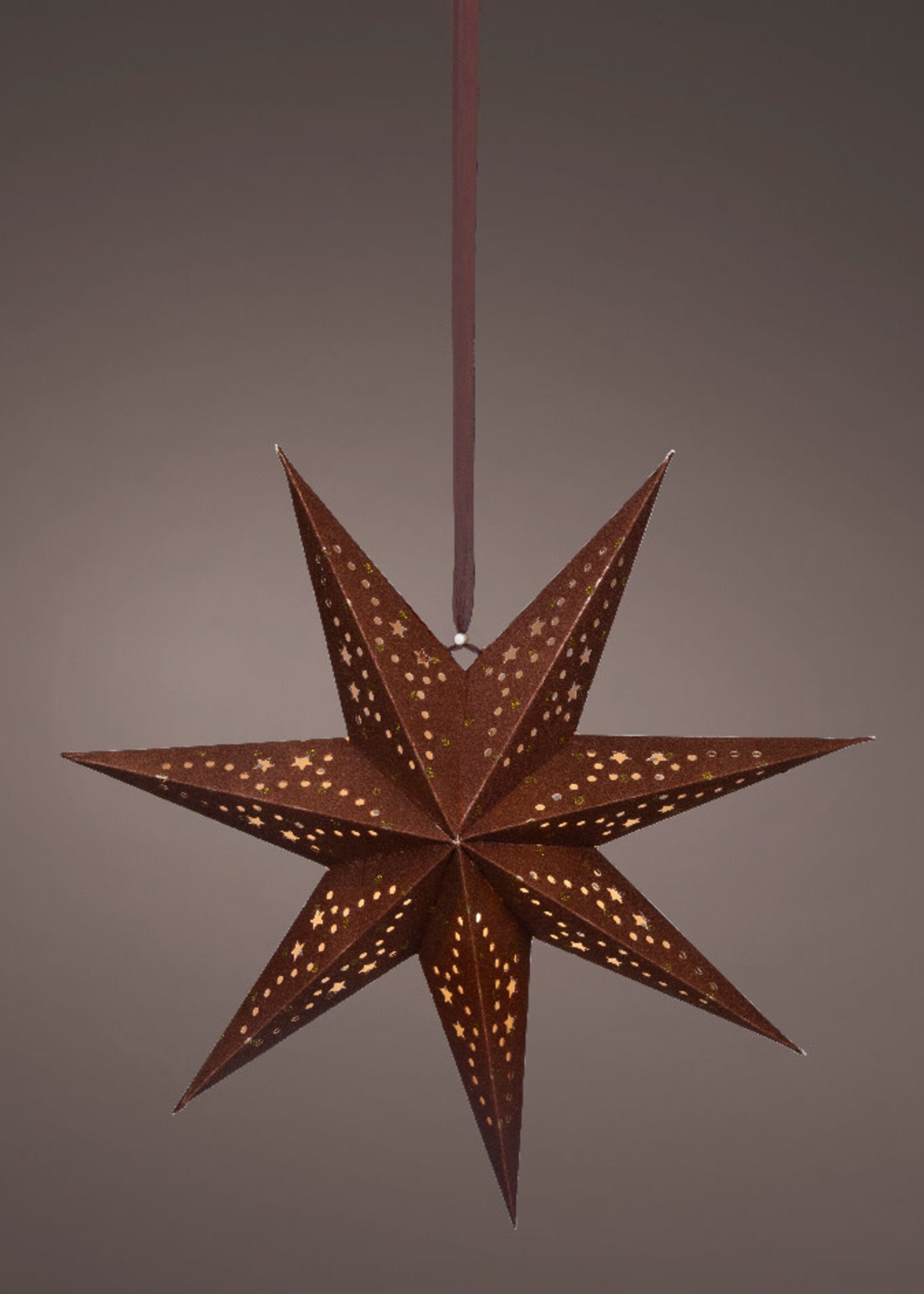Lumiere Light up Hanging Star