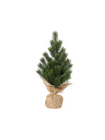Everlands Mini Tree In Sack 40cm