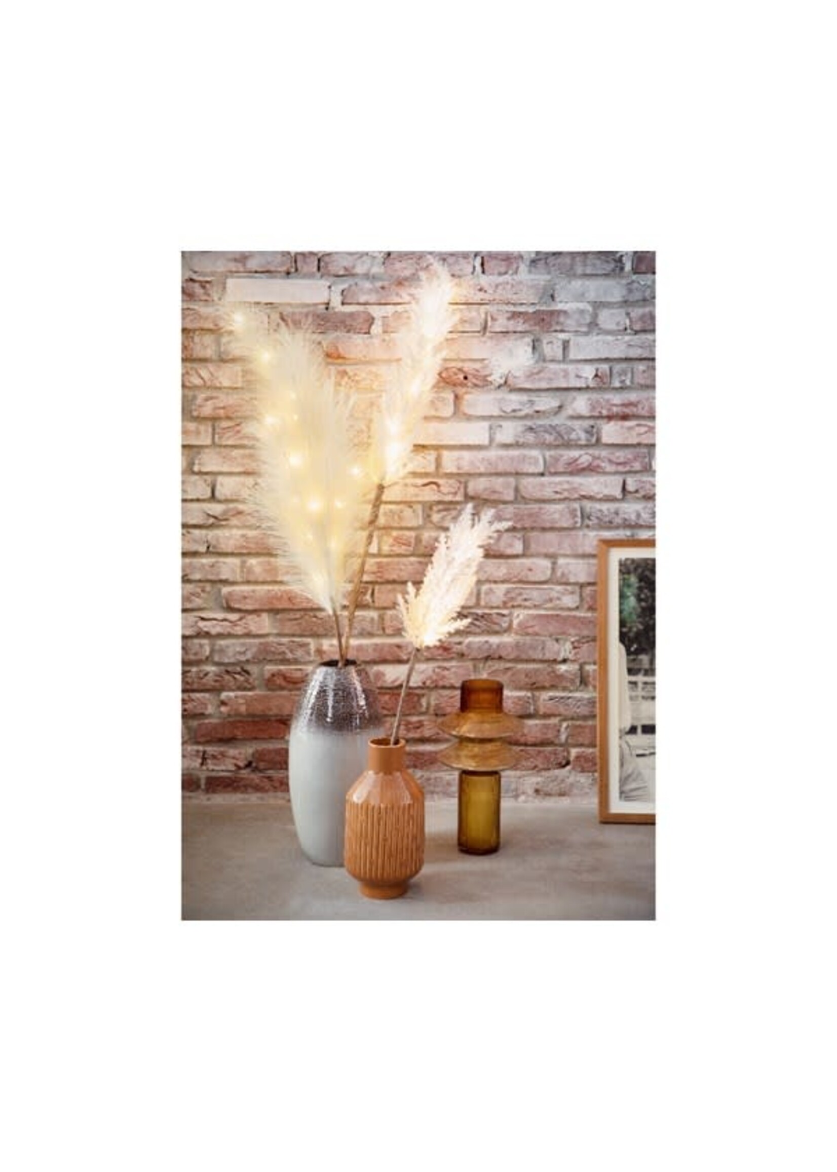 Decoris Pampas Grass With Micro LEDs