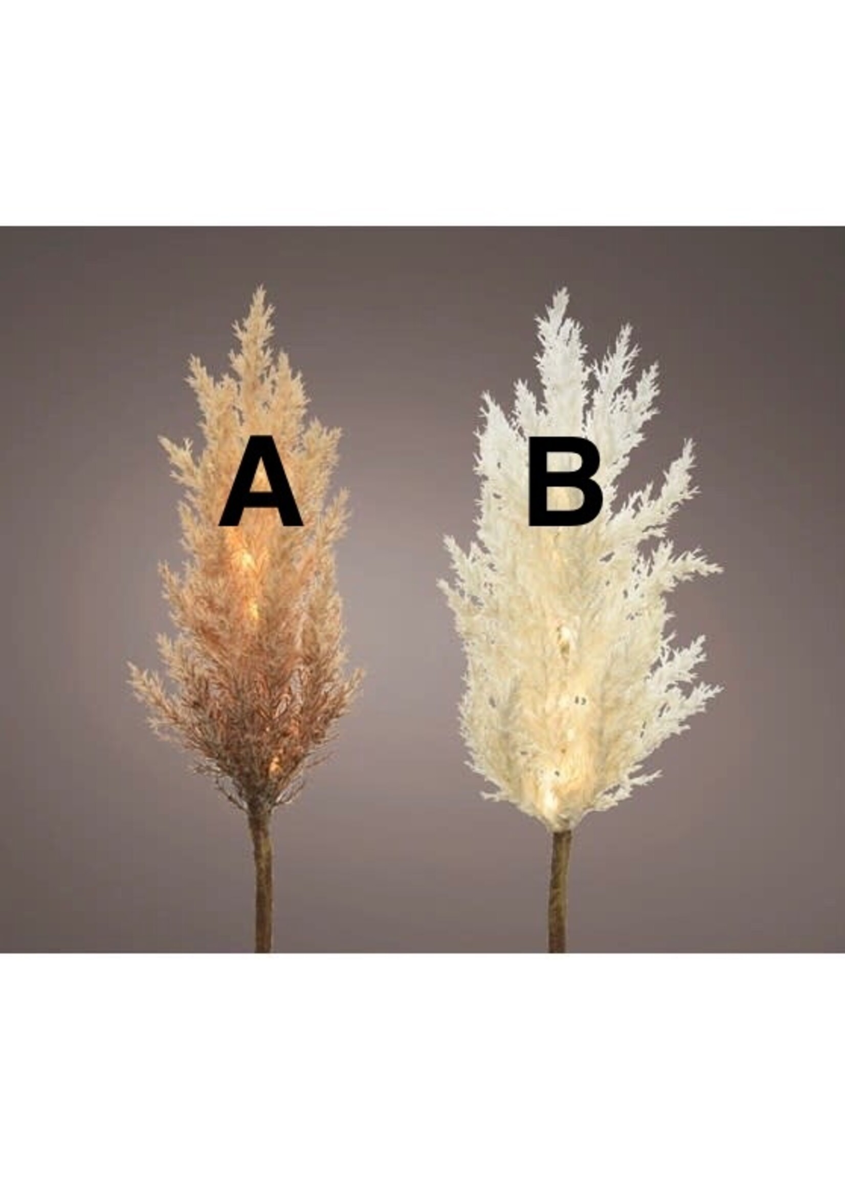 Decoris Pampas Grass With Micro LEDs