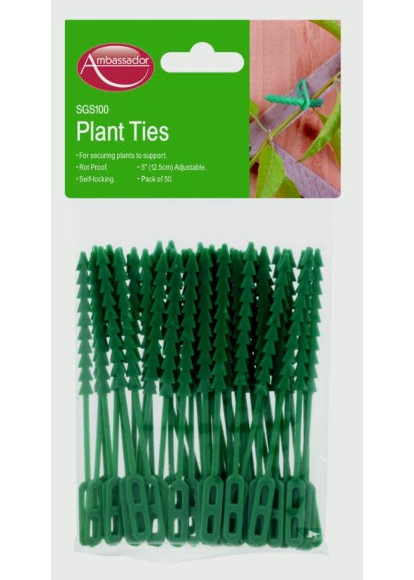 Ambassador Ambassador Adjustable Plant Ties 16.5cm