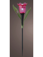 Lumineo Pink Solar Tulip - Led 31cm