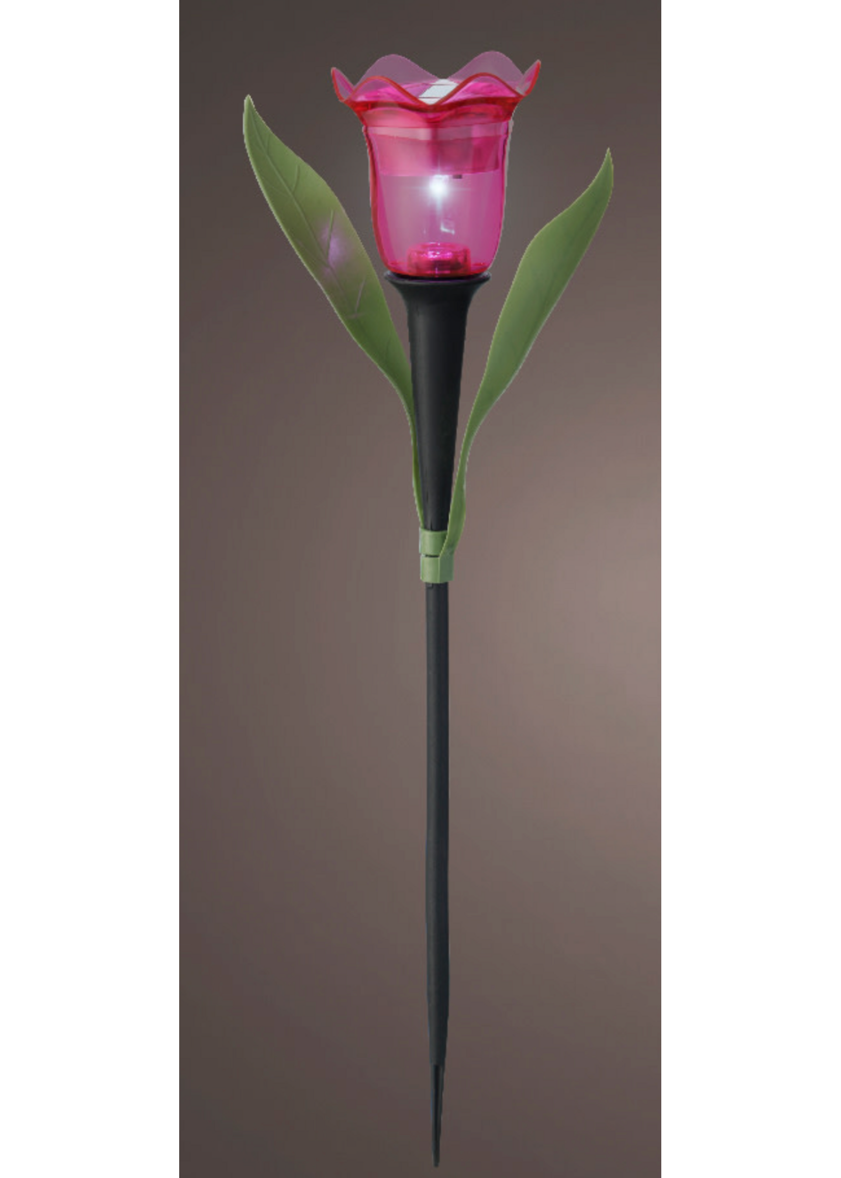 Lumineo Pink Solar Tulip - Led 31cm