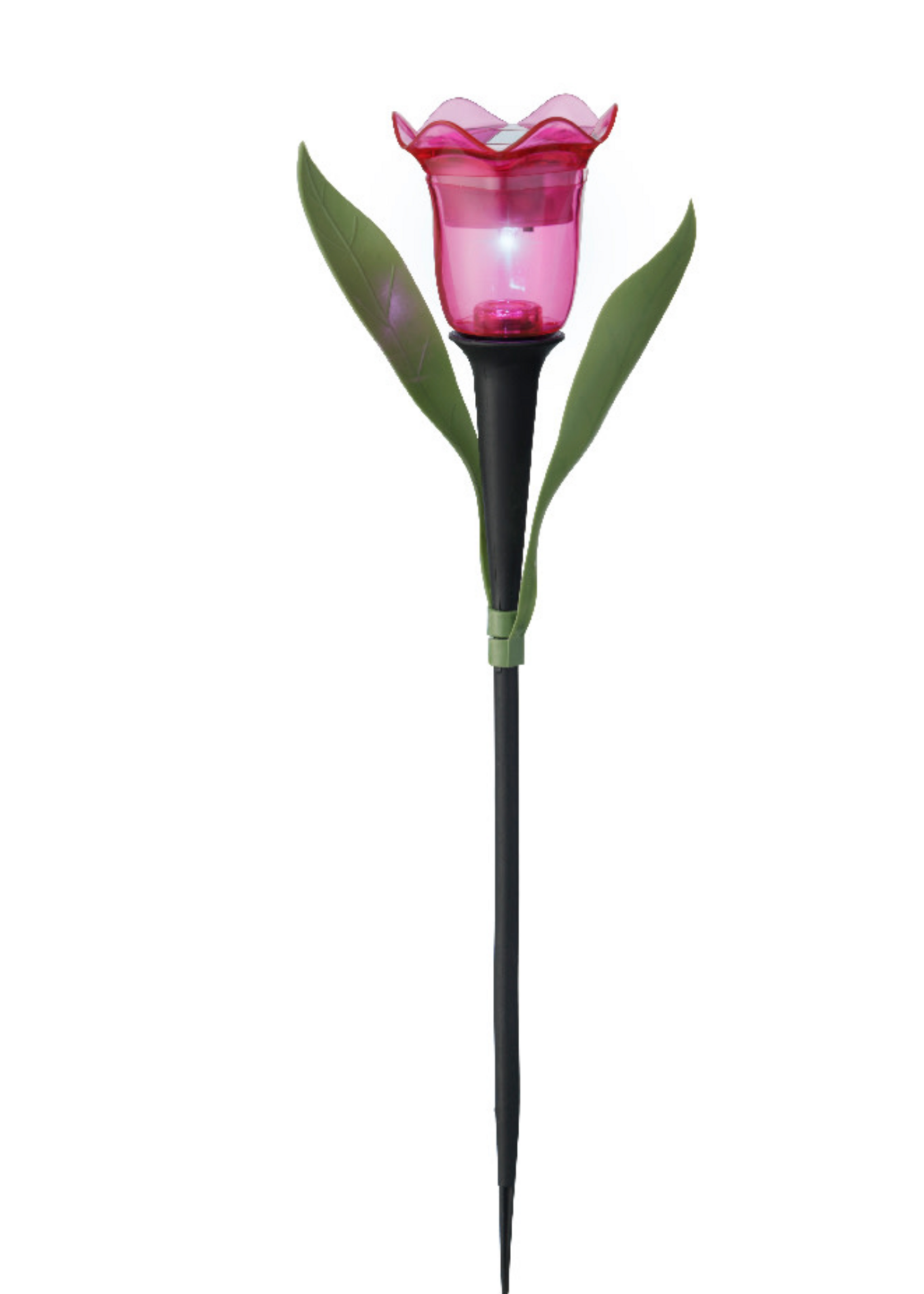 Lumineo Pink Solar Tulip - Led 31cm
