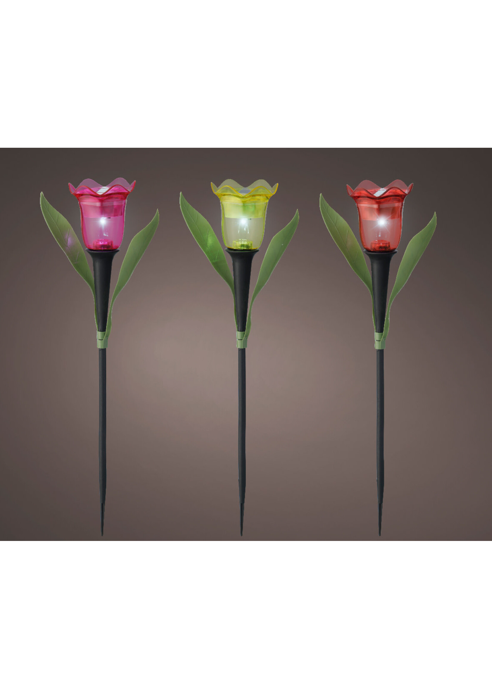 Lumineo Pink Solar Tulip - Led 31cm