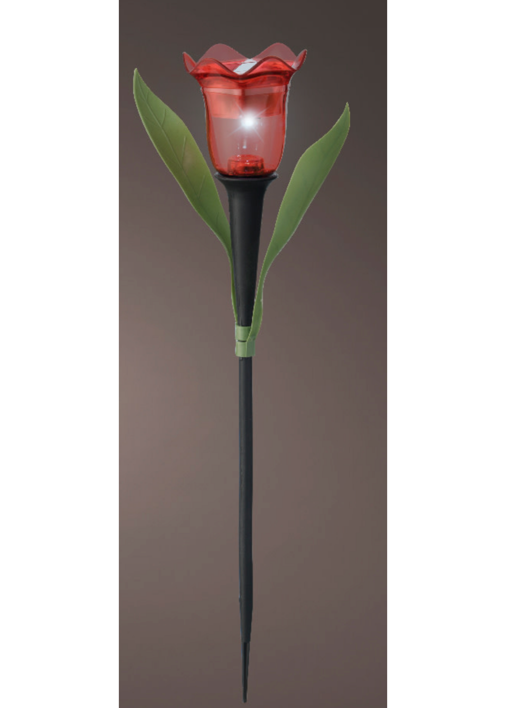 Lumineo Red Solar Tulip - Led 31cm