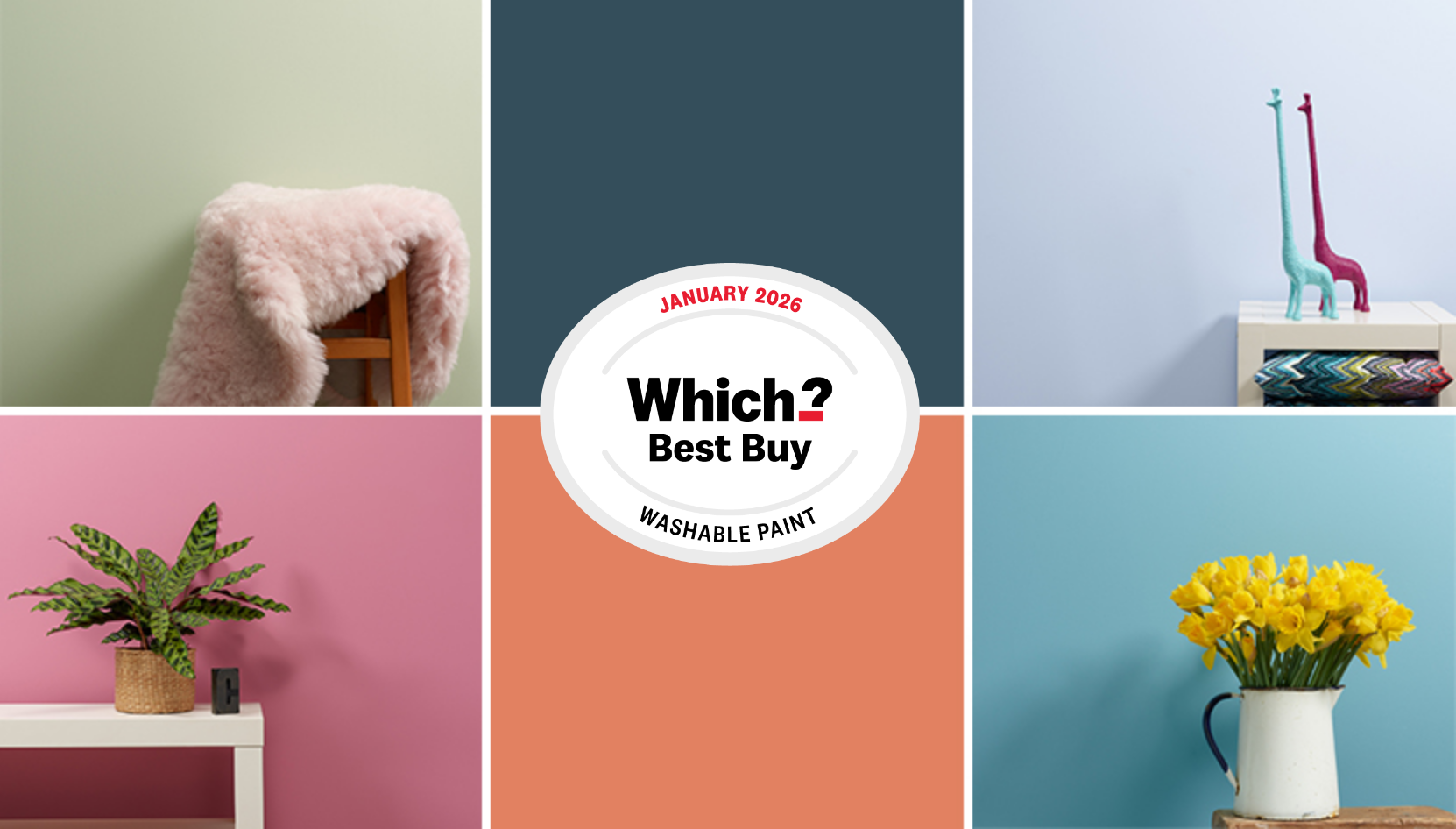 Which Best Buy Frenchic 