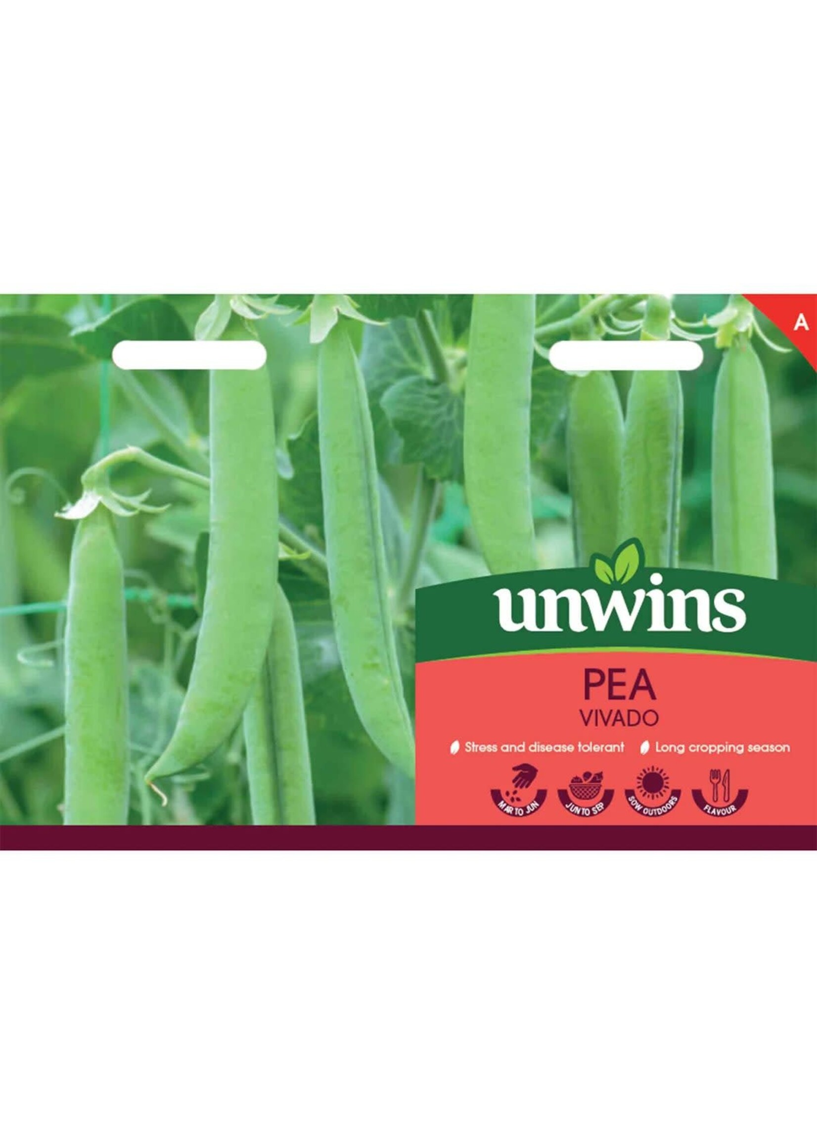 Unwins Pea Vivado