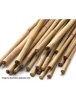 Apollo gardens Ltd Bamboo Canes 1.2m (4ft) 20 pack ***