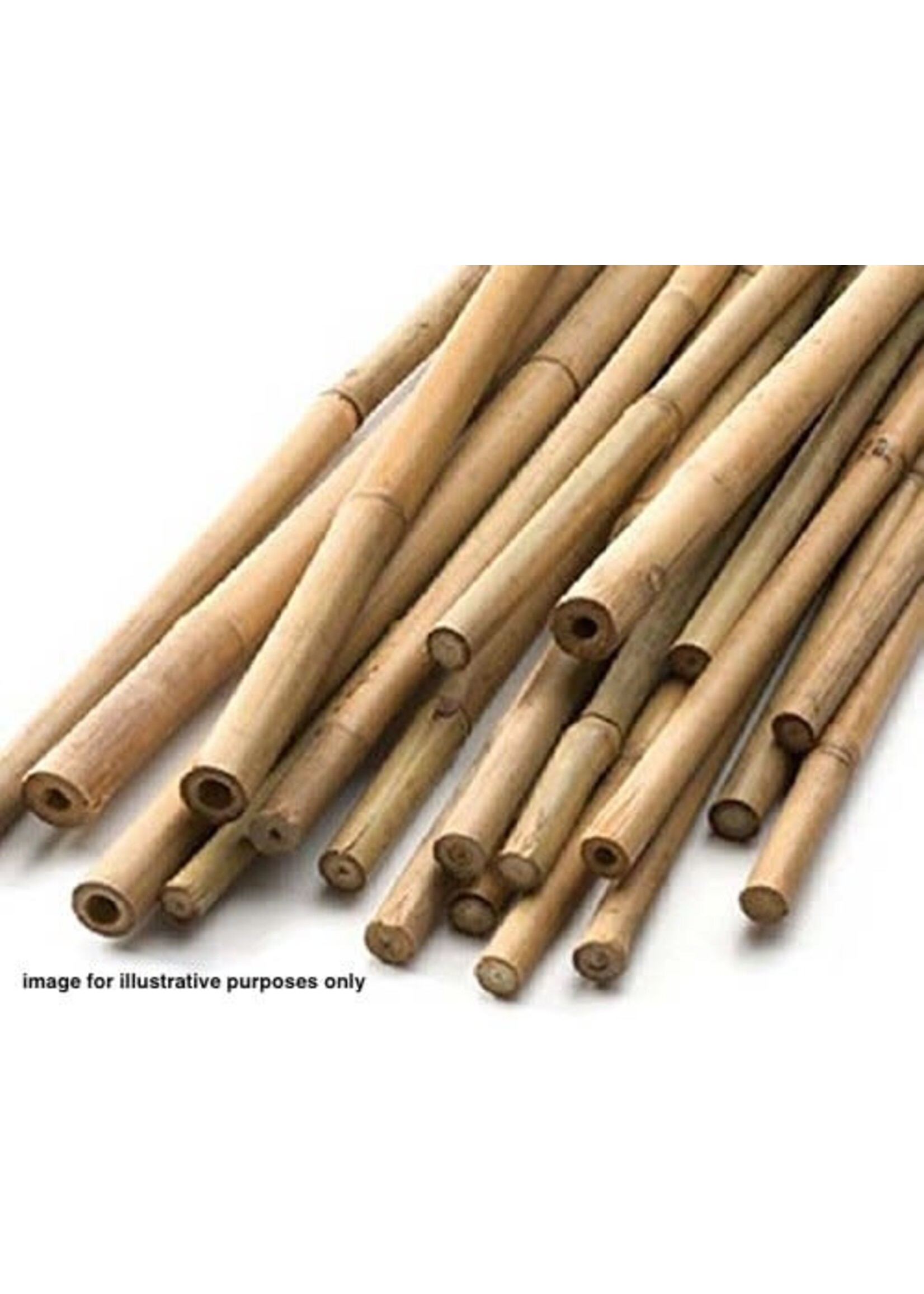 Apollo gardens Ltd Bamboo Canes 1.2m (4ft) 20 pack ***