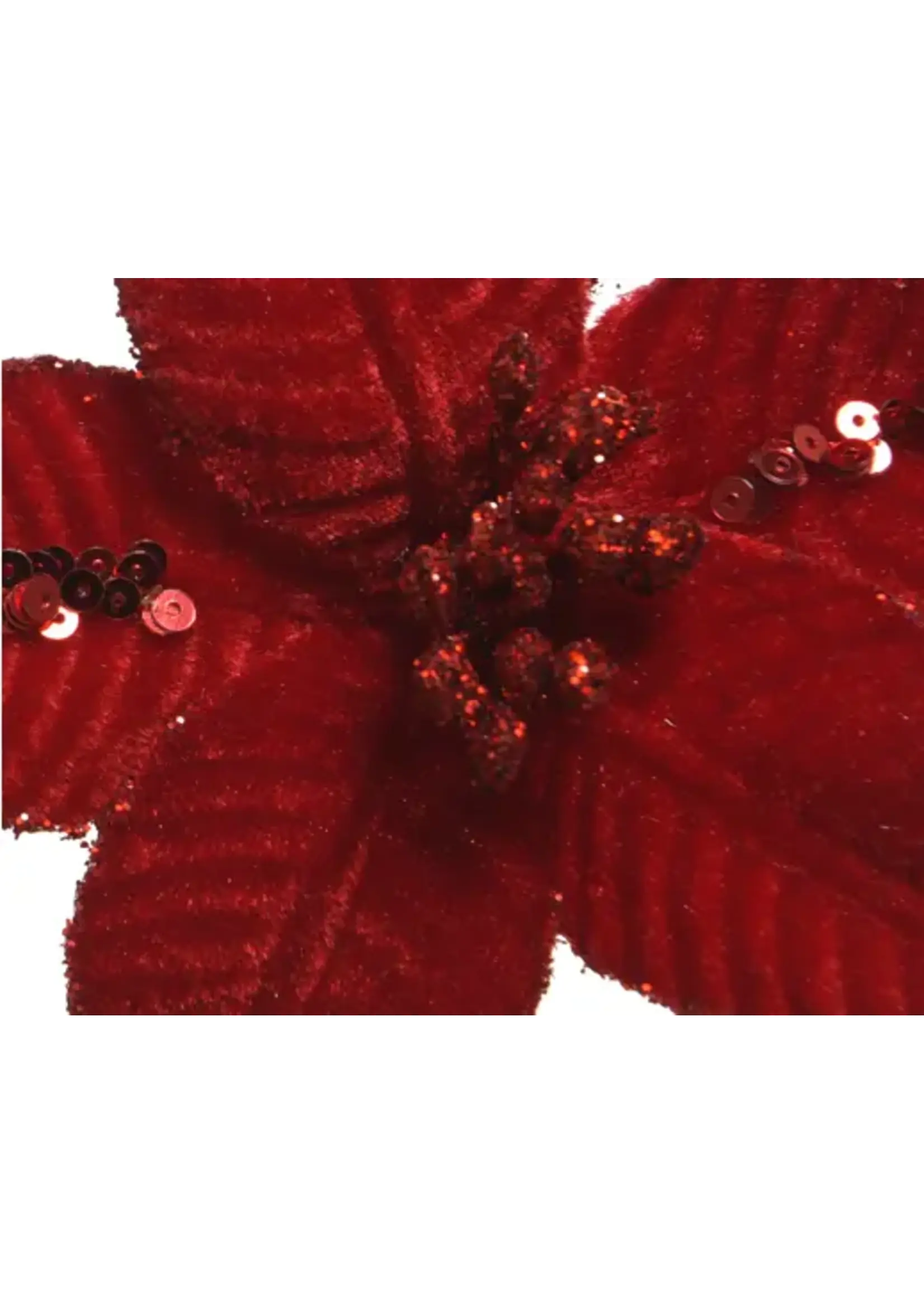 Decoris Poinsettia Clip on, Red, Cream, Gold, Maroon - Price is for one
