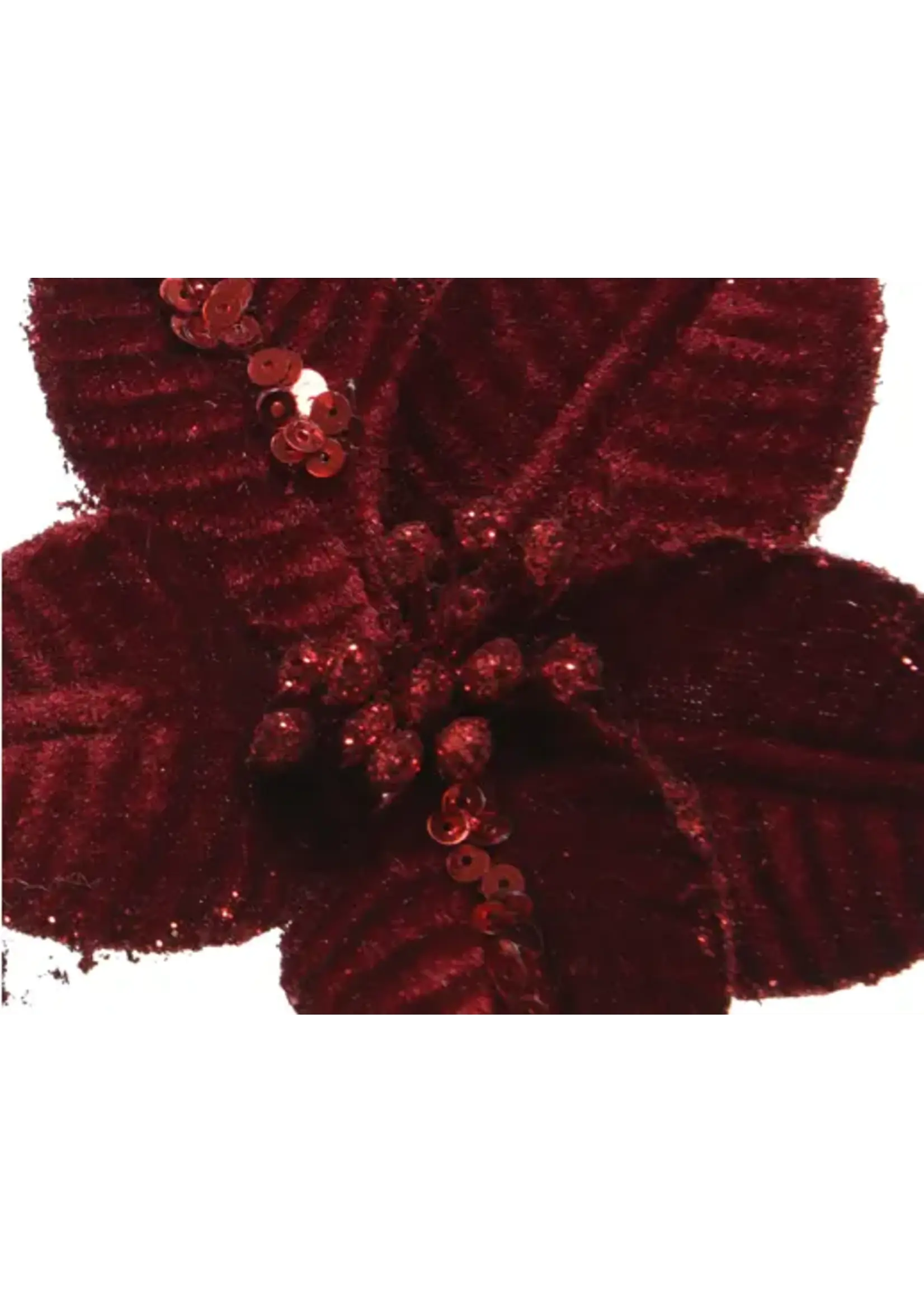 Decoris Poinsettia Clip on, Red, Cream, Gold, Maroon - Price is for one