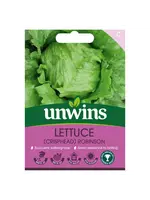 Unwins Lettuce - Crisphead Robinson