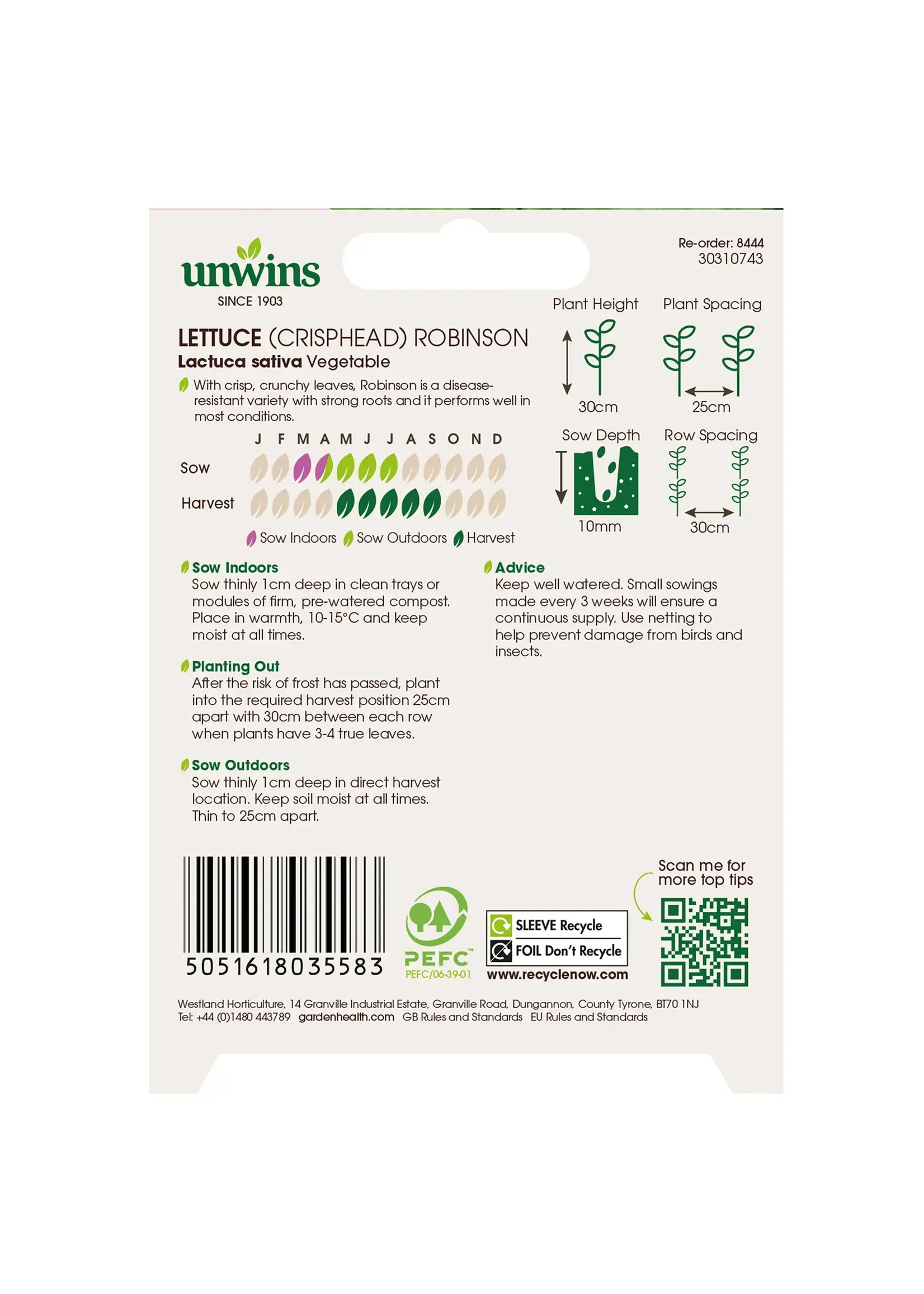 Unwins Lettuce - Crisphead Robinson