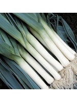 Unwins Leek Chinhook