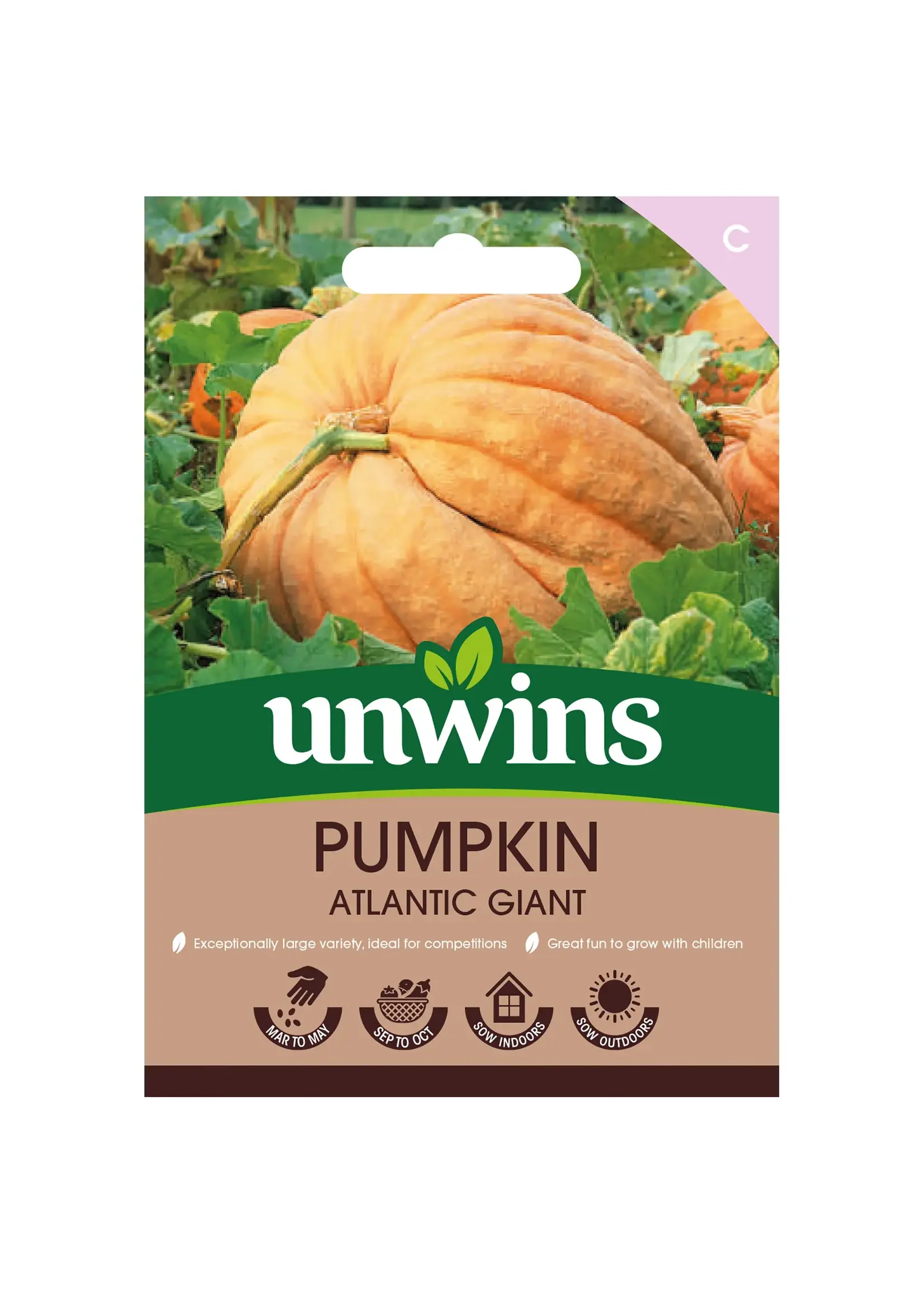 Unwins Pumpkin - Atlantic Giant