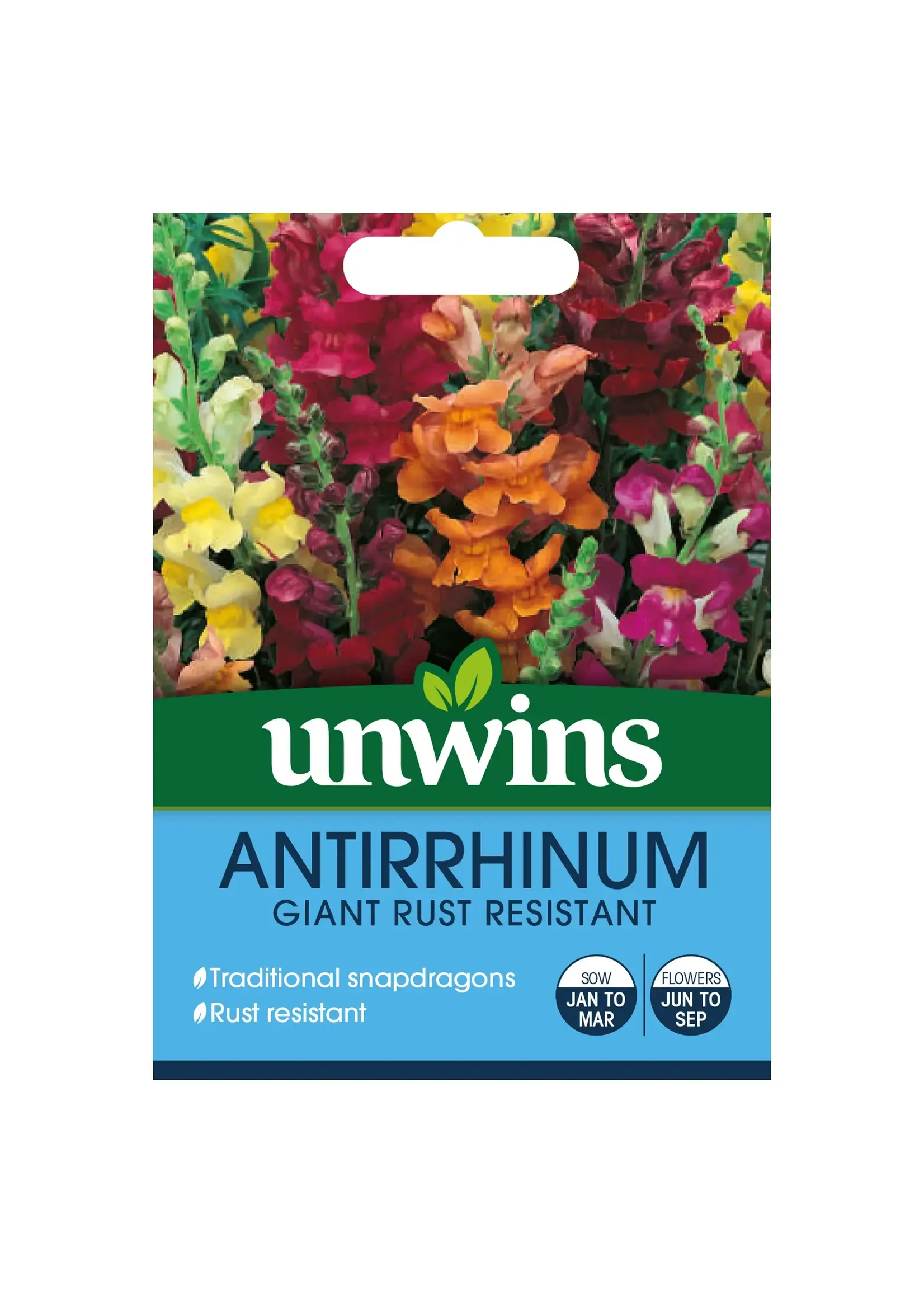 Unwins Antirrhinum - Giant Rust Resistant