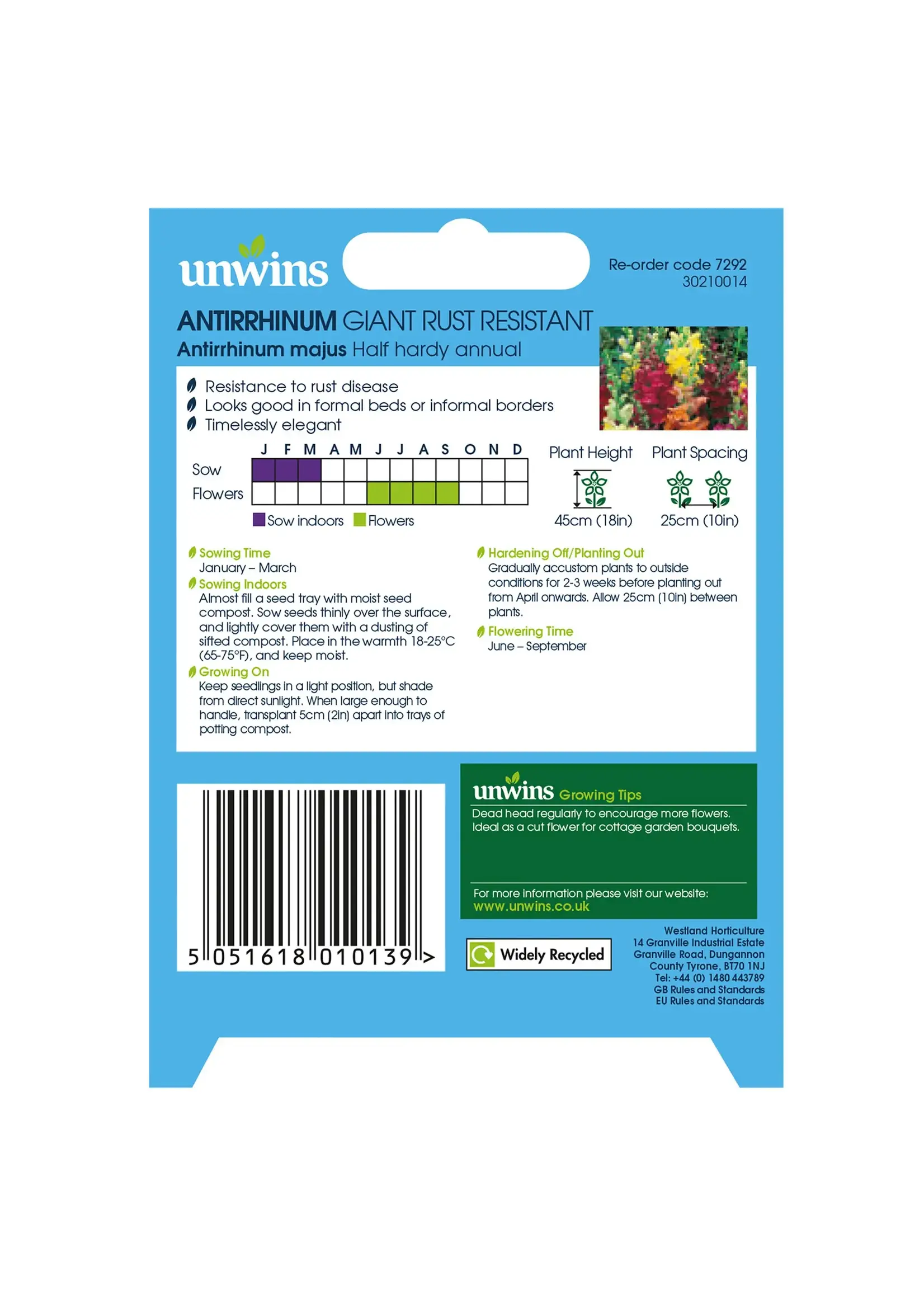 Unwins Antirrhinum - Giant Rust Resistant
