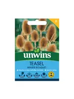 Unwins Nature's Haven - Teasel Winter Bouquet
