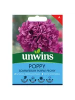 Unwins Poppy (somni) Purple PeonyFlower