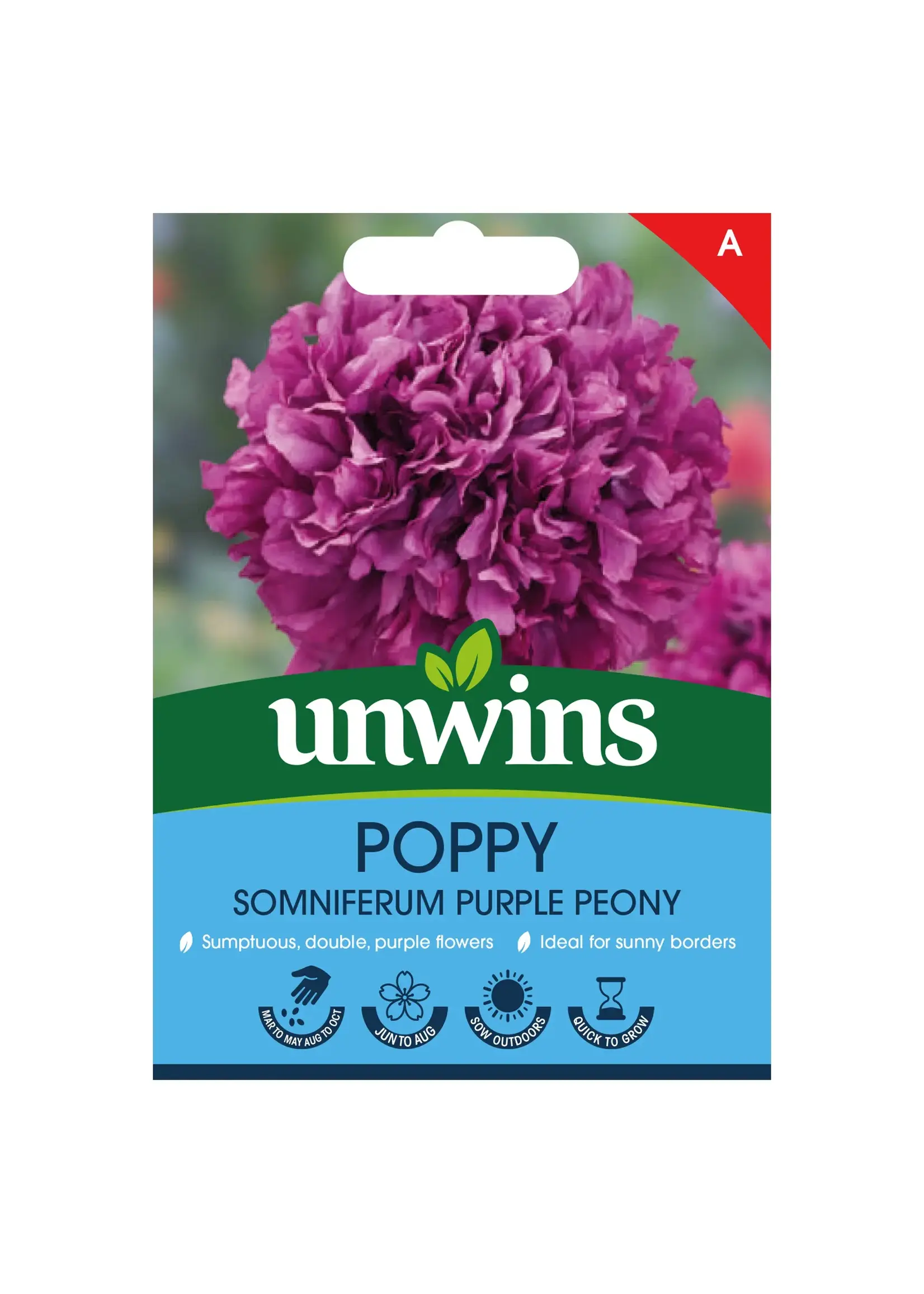 Unwins Poppy (somni) Purple PeonyFlower