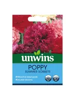 Unwins Poppy - Summer Sorbets